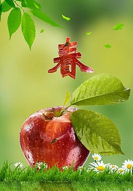 春天 蘋果圖片