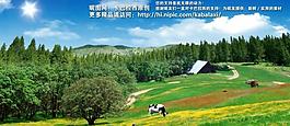 藍(lán)天草地圖片