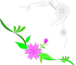 花紋圖片