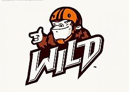 動漫logo圖片