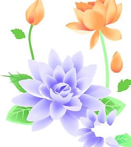 花紋圖片