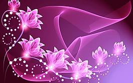 透明花圖片
