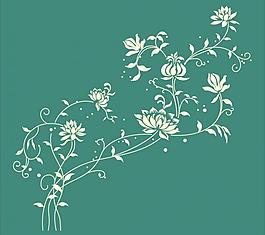 花紋圖片