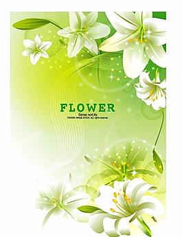花紋圖片