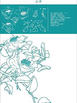 花紋圖片