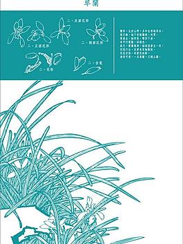 花紋圖片