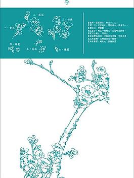 花紋圖片