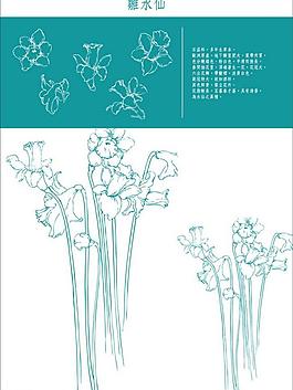 花紋圖片