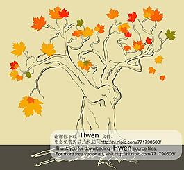 花紋圖片