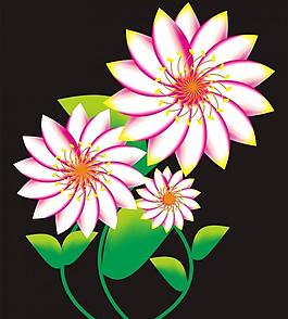 花紋圖片