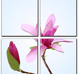 無框畫圖片