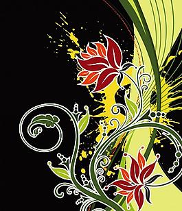 花紋 花圖片