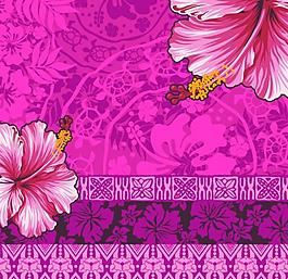 花紋花卉圖片