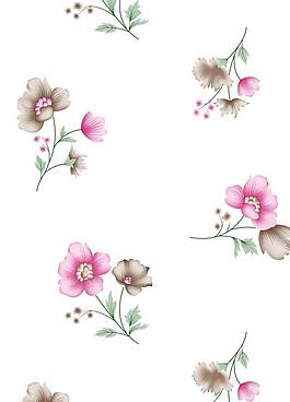 花紋背景圖片