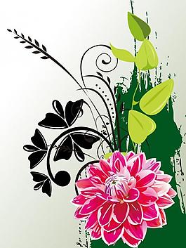 花 花紋圖片
