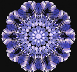 花纹底纹图片