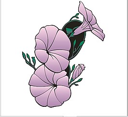 花邊