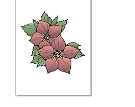 小花