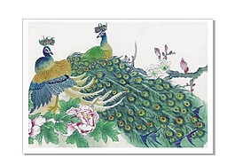 孔雀