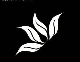 動(dòng)感花紋視頻素材圖片