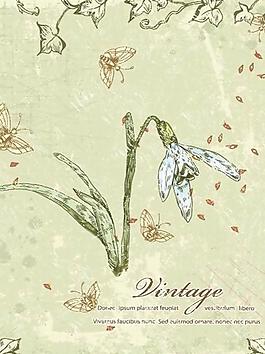 古典花紋 花朵 蝴蝶圖片