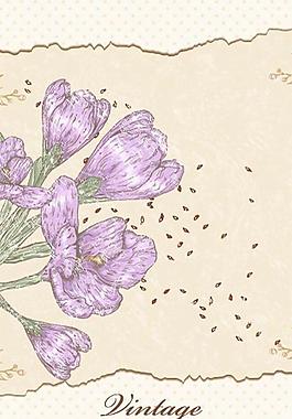 古典花紋 花朵圖片