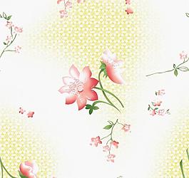 服裝花紋圖片