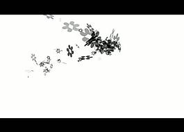 花紋背景視頻素材圖片