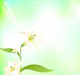 灯具图案 梦幻花纹图片