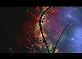 流光花紋視頻素材圖片