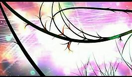 光效花紋視頻素材圖片