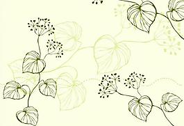 移門(mén)花紋圖片