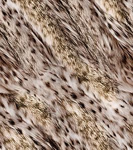 紡織品花紋圖片