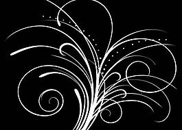 動(dòng)感花紋視頻素材圖片