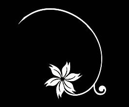 動(dòng)感花紋視頻素材圖片