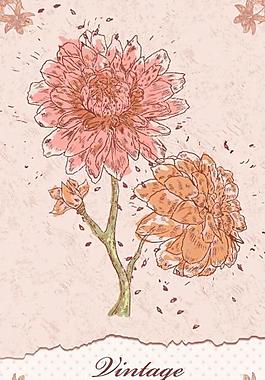 古典花紋 花朵圖片