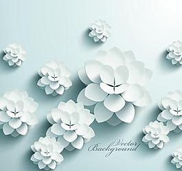 3d花紋底紋紙張圖片