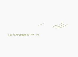 山峰logo圖片