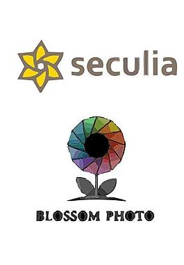 花瓣logo圖片