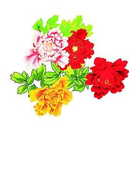 花朵圖片