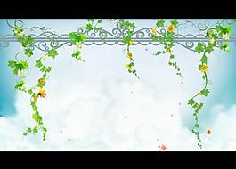 花紋花邊背景視頻素材圖片