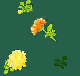 手繪 花紋 花朵圖片