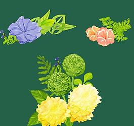 手繪 花紋 花朵圖片