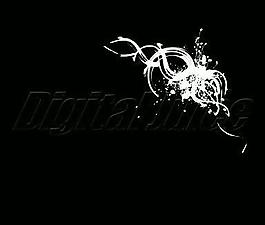 白色花紋背景視頻素材圖片