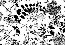 面料 墻紙 花紋圖片