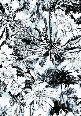 面料 墻紙 花紋圖片