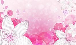 電視背景墻 花朵 花紋圖片