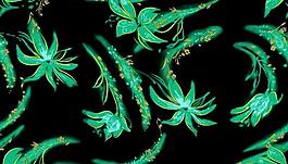 面料 墻紙 花紋圖片