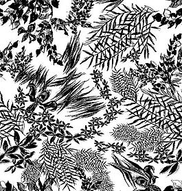 面料 墻紙 花紋圖片