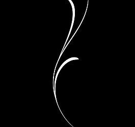 動態花紋線條視頻素材圖片